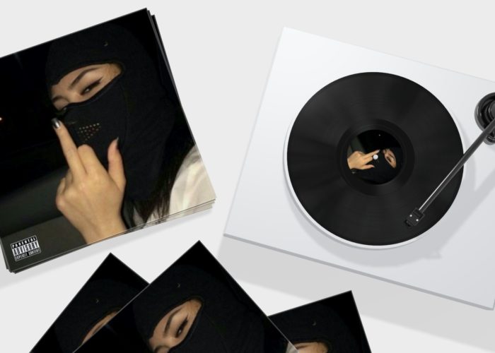 Lakes The Voice Ultimate F.A.N. Portal